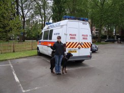 Lorie and Milo contemplating new careers