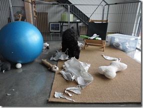 Busby destroys paper